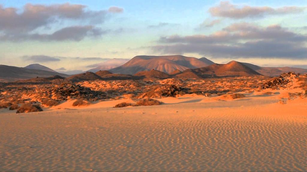 Greentree House Corralejo Kültér fotó